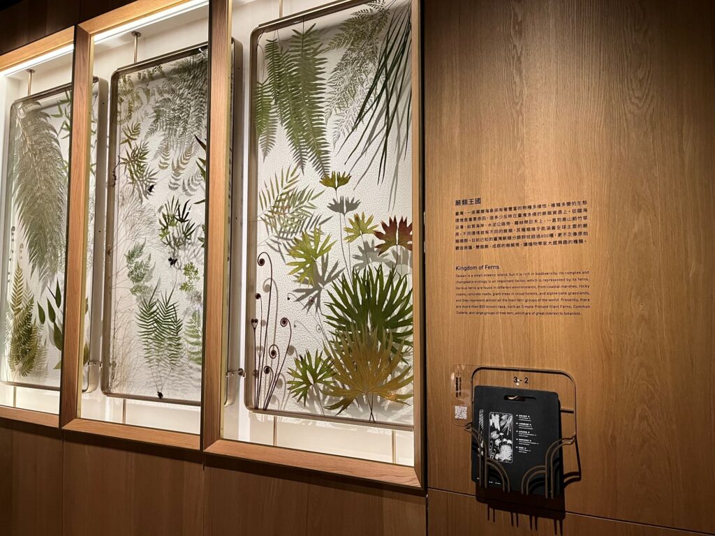 Natural history specimens on display at the National Taiwan Museum