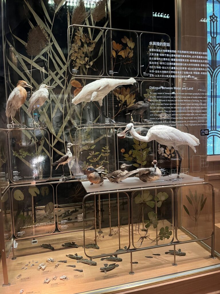 Taiwan wildlife and ecosystem display at the National Taiwan Museum